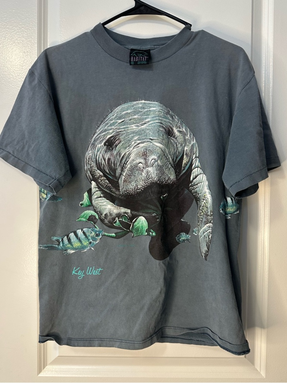 Vintage Habitat Slate Blue Manatee Graphic Tee with Teal Accents key west